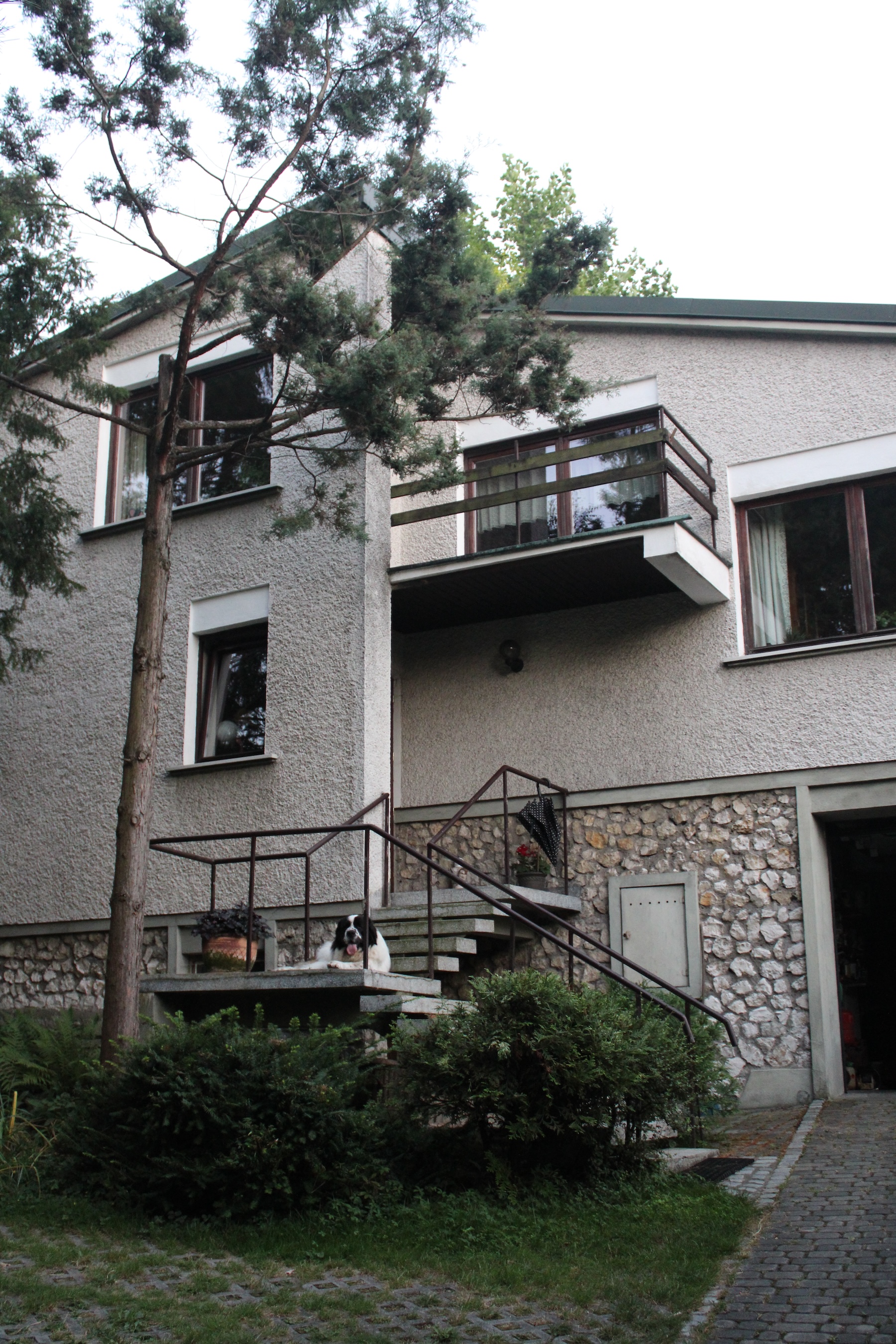 A dog sits on the staircase leading up to the front door of a house