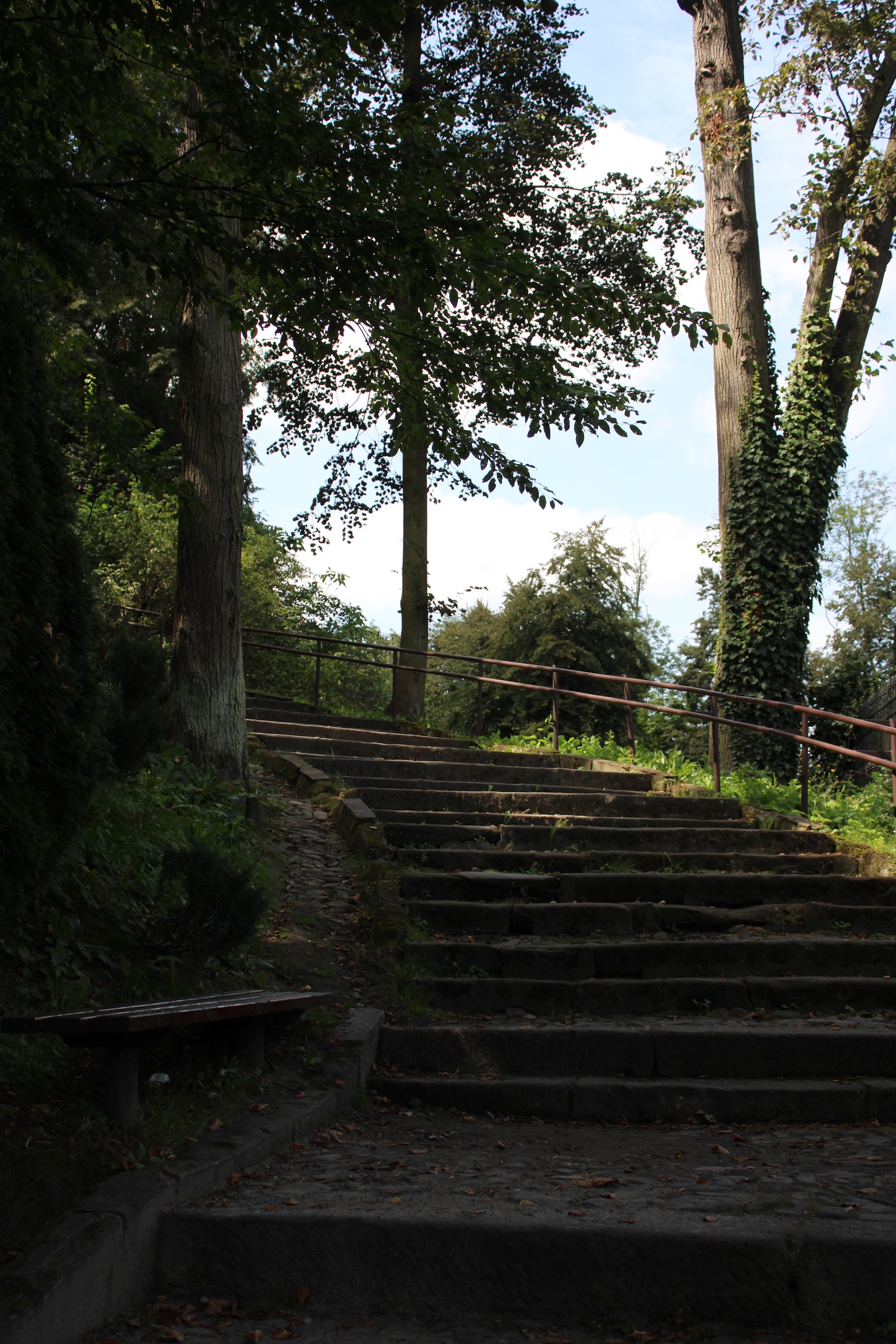 Steps curve up to the right. The staircase is surrounded by trees.