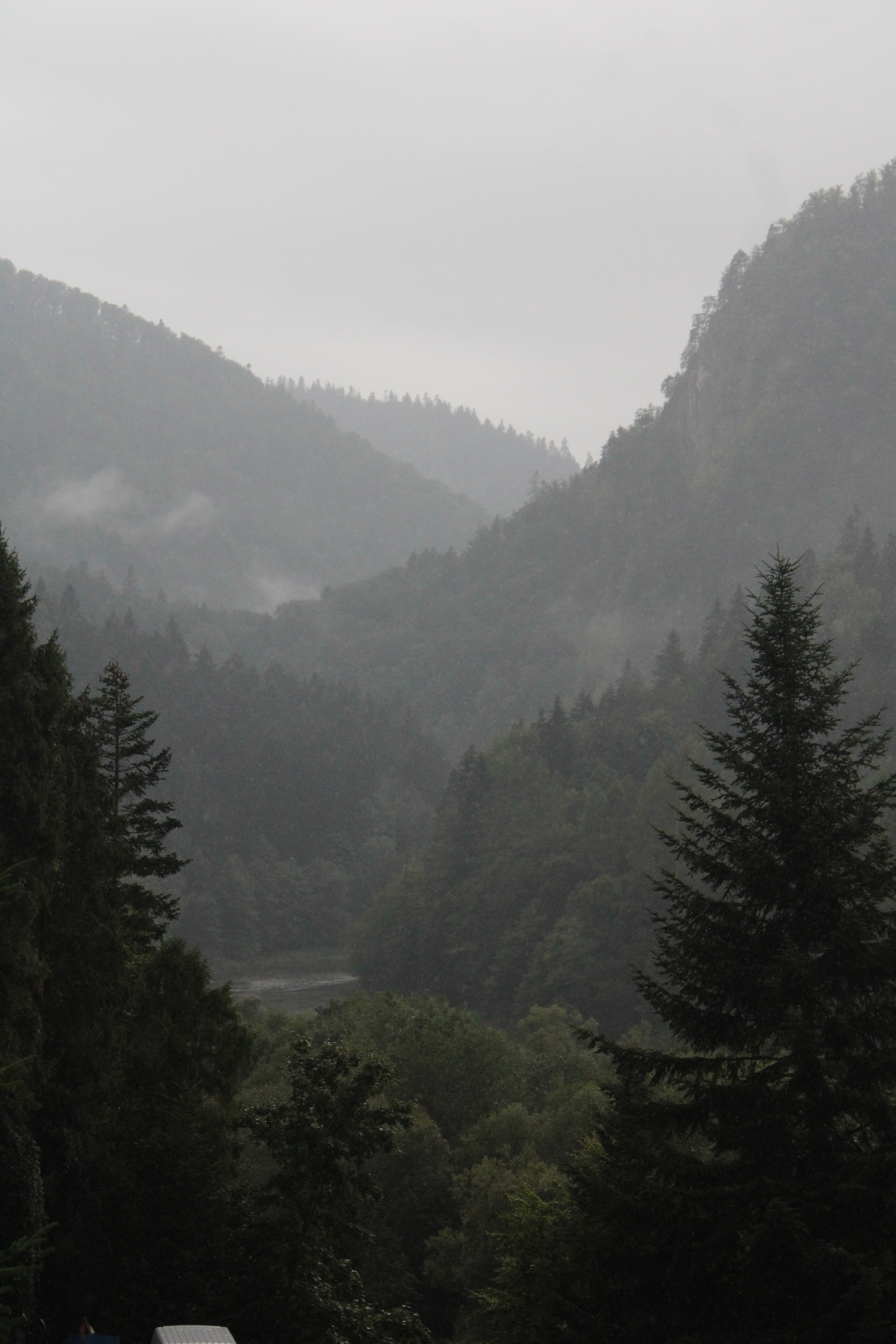 Layers of forested mountains in a valley reveal a river. There are evergreens in the foreground.