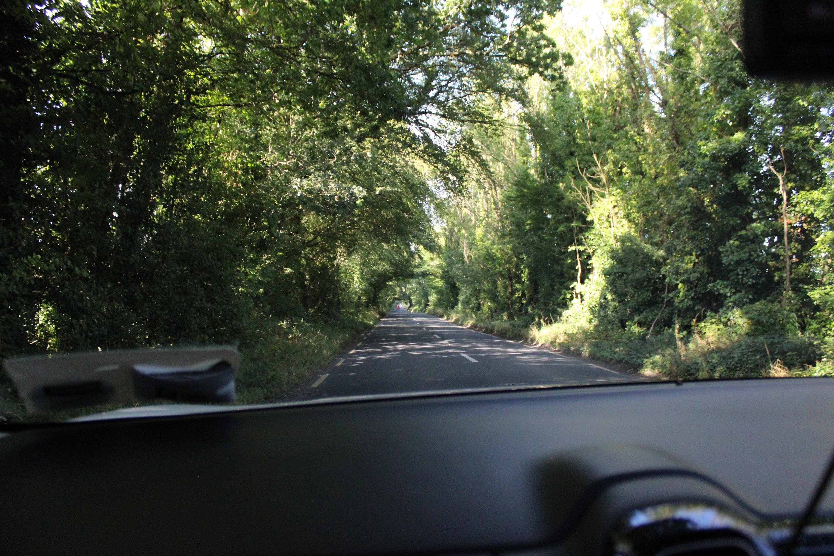 Road shaded by trees above