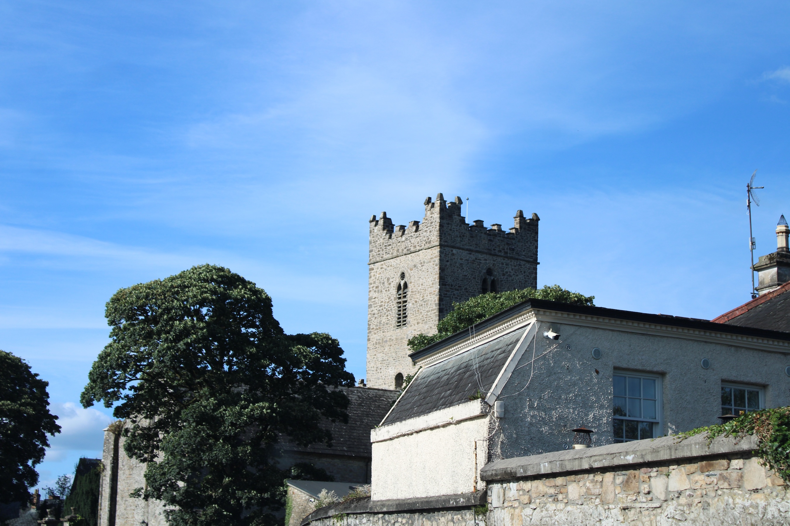 Castle poking above buildings