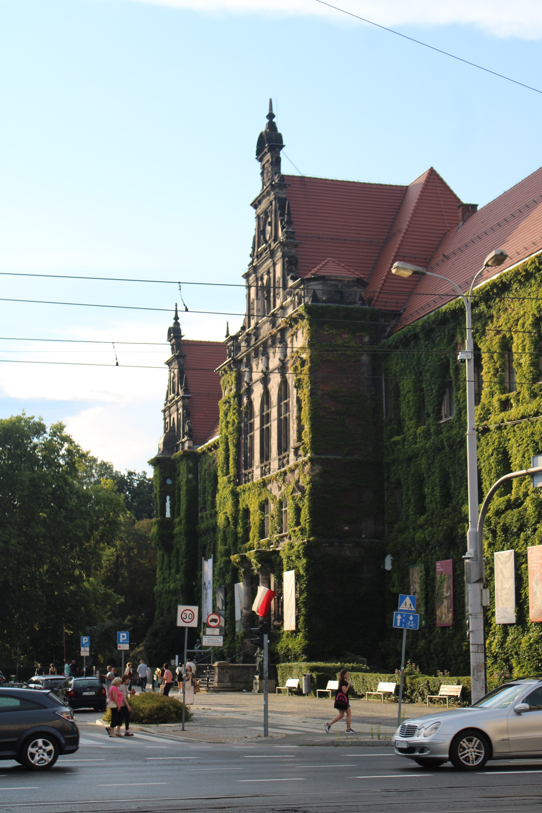Sunlit ivy-covered side of a building