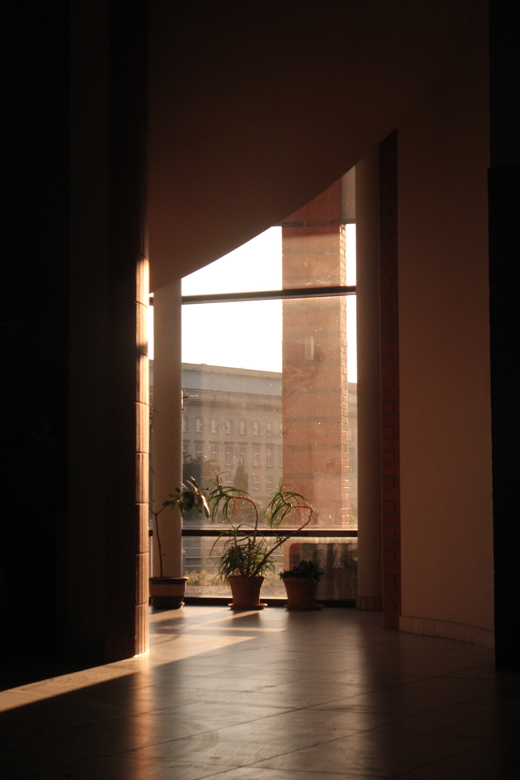 A shot through sepia-tinted sunglasses of a window inside the University of Wroclaw's Computer Science building. The window is under a spiral staircase. Light draws a line on the floor